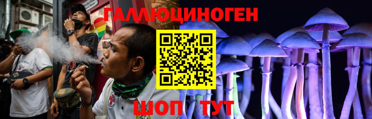 Псилоцибиновые грибы мухоморы Рославль